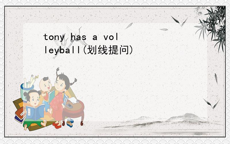 tony has a volleyball(划线提问)