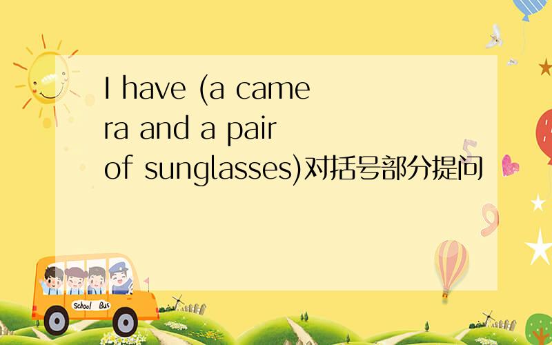 I have (a camera and a pair of sunglasses)对括号部分提问