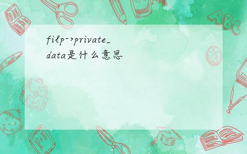 filp->private_data是什么意思