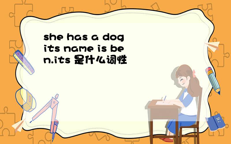 she has a dog its name is ben.its 是什么词性