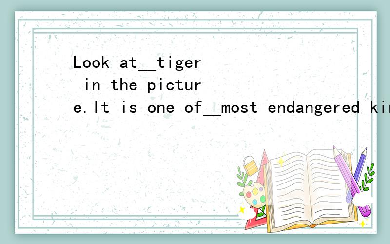 Look at__tiger in the picture.It is one of__most endangered kind of animals.A.the,theB.the,aC.a,the