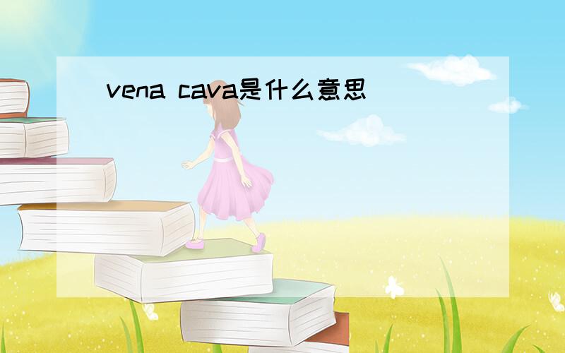 vena cava是什么意思
