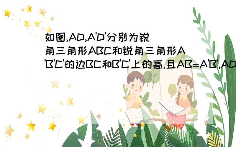 如图,AD,A'D'分别为锐角三角形ABC和锐角三角形A'B'C'的边BC和B'C'上的高,且AB=A'B',AD=A'D'.补充下列条件仍不能使△ABC≌△A'B'C'的是A.BC=B'C' B.AC=A'C' C.∠C=∠C' D.∠BAC=∠B'A'C'单选额...