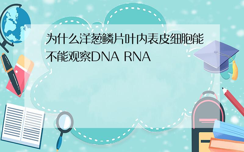 为什么洋葱鳞片叶内表皮细胞能不能观察DNA RNA