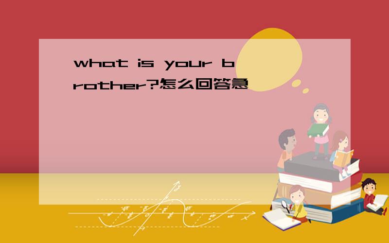 what is your brother?怎么回答急