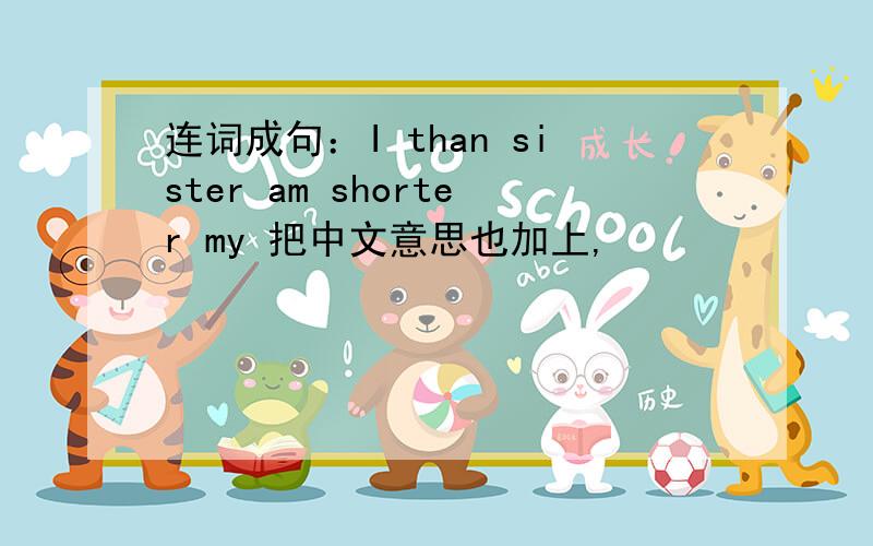 连词成句：I than sister am shorter my 把中文意思也加上,