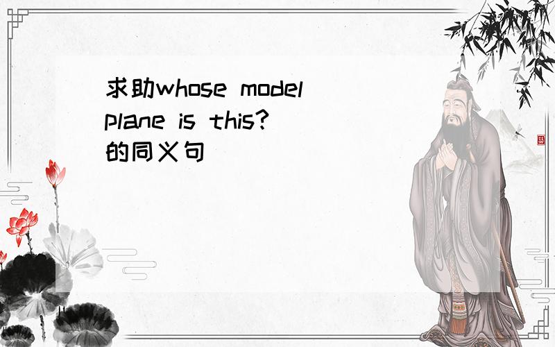 求助whose model plane is this?的同义句