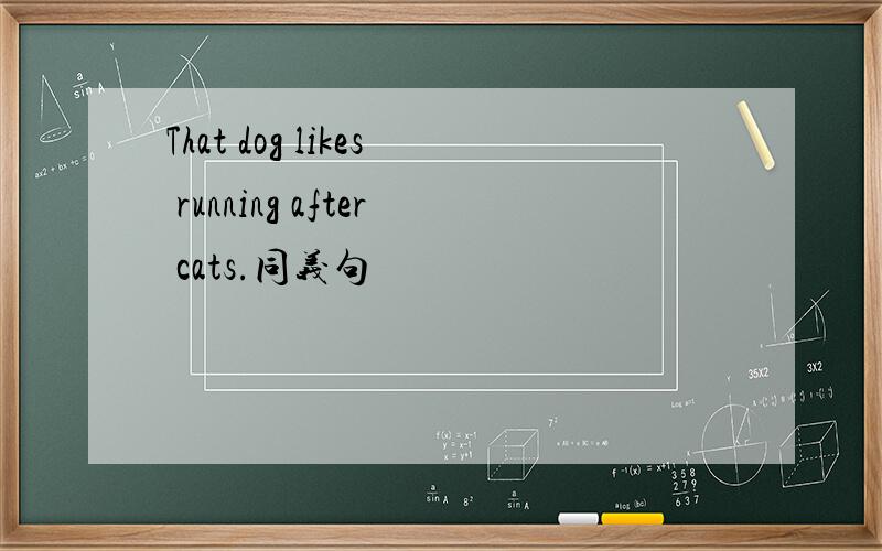 That dog likes running after cats.同义句