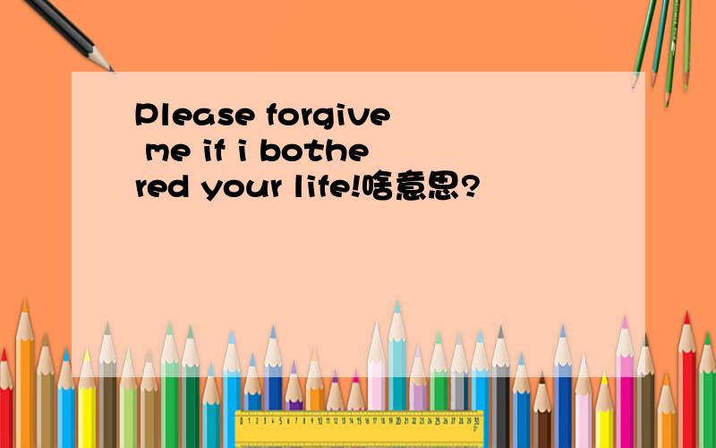 Please forgive me if i bothered your life!啥意思?